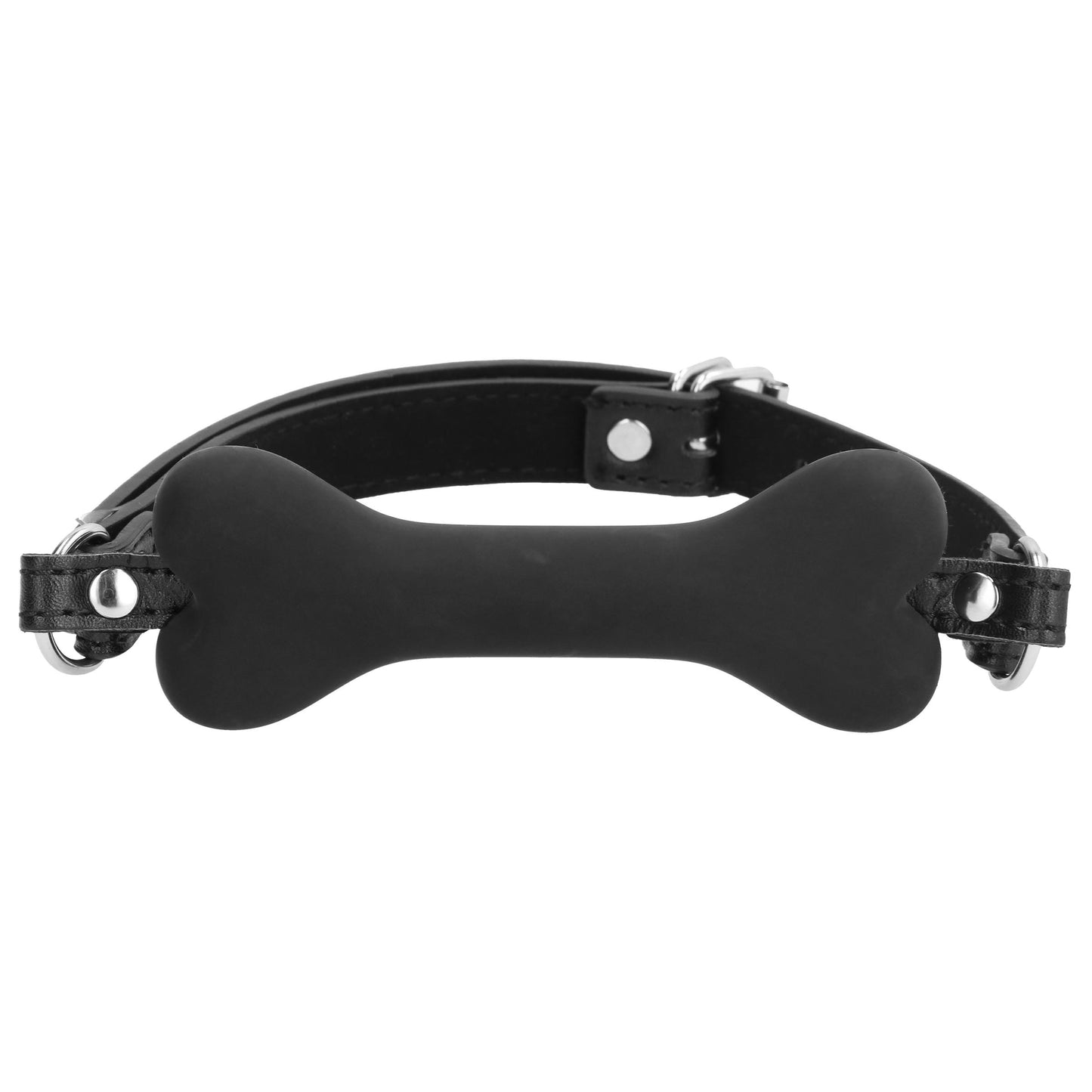 Neoprene Puppy Kit - SM