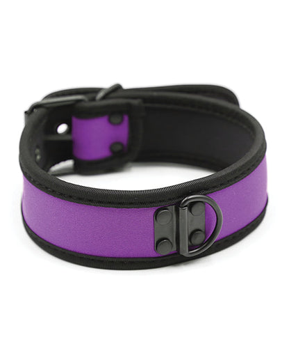 Plesur Neoprene Puppy Collar