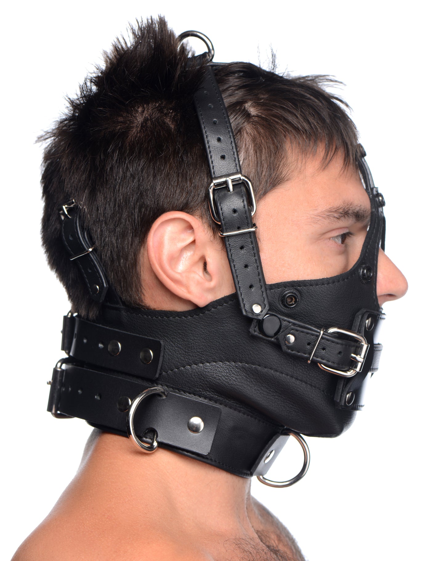 Leather Head Harness with Removeable Gag