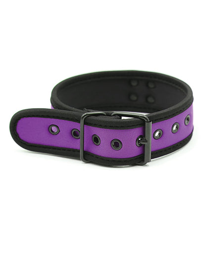 Plesur Neoprene Puppy Collar