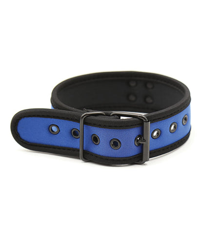 Plesur Neoprene Puppy Collar